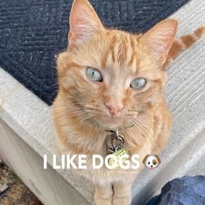 Meet your Posher, Alana